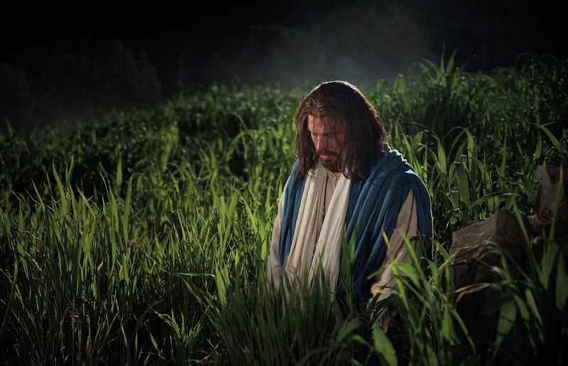Jésus-Christ s'agenouille à Gethsémané sur cette capture d'écran des vidéos de la Bible de l'Église de Jésus-Christ des Saints des Derniers Jours.