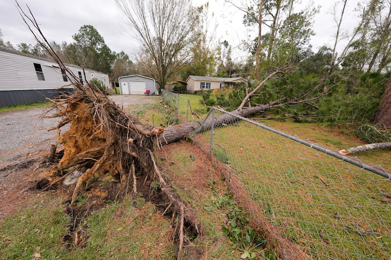 Des arbres tombés sont visibles sur des pelouses après le passage de l'ouragan Isaias à Milton, en Floride, le samedi 10 octobre 2026.