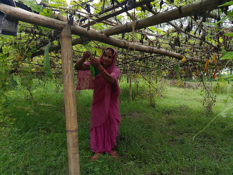 Ritu Devi Mandal se tient dans son jardin à Saptari, au Népal.