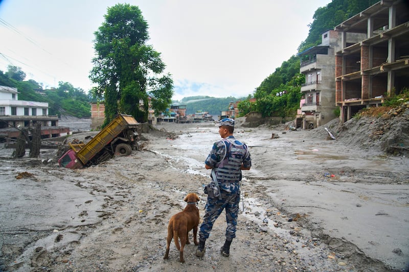 Un policier avec un chien renifleur regarde les dégâts après des crues éclair à Devighat dans le district de Nuwakot au Népal, le jeudi 27 août 2026.