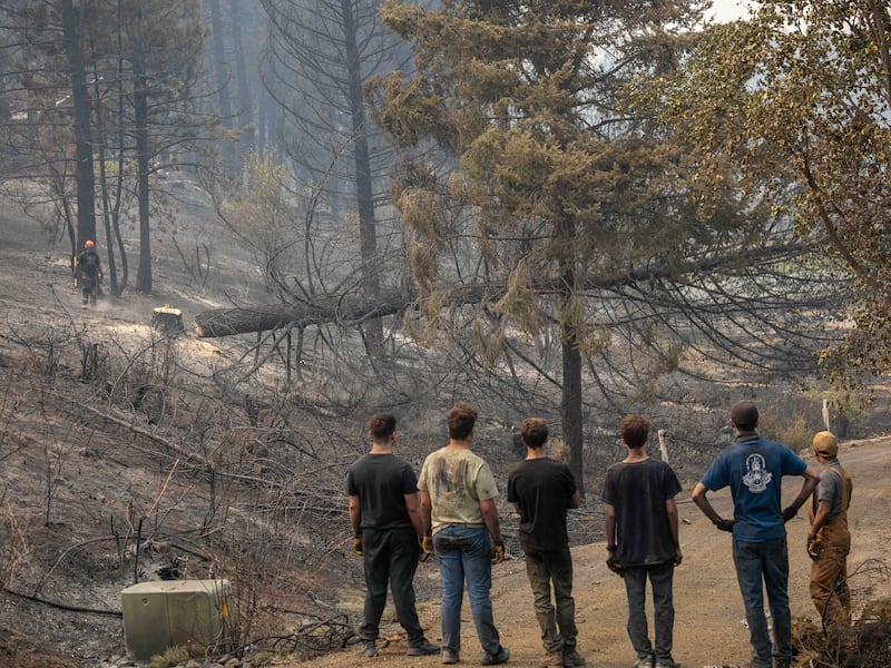 Des jeunes gens et des dirigeants du pieu de Mount Spokane (Spokane, Washington) regardent un arbre brûlé tomber alors qu'ils aident à déblayer les débris d'un quartier endommagé par les feux de forêt à Spokane (Washington), le lundi 3 août 2026.