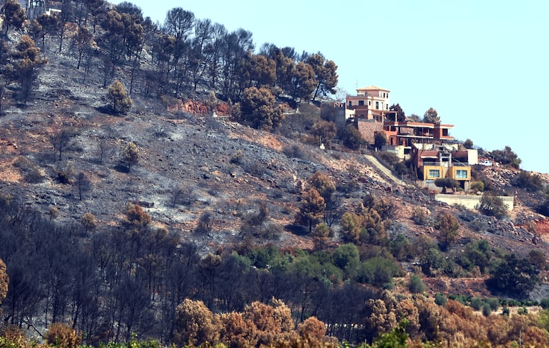 Des arbres calcinés se dressent dans une zone dévastée par un feu de forêt près de Vila Vella, dans la province de Valence, en Espagne, le jeudi 30 juillet 2026. (AP Photo/Damian Torres)